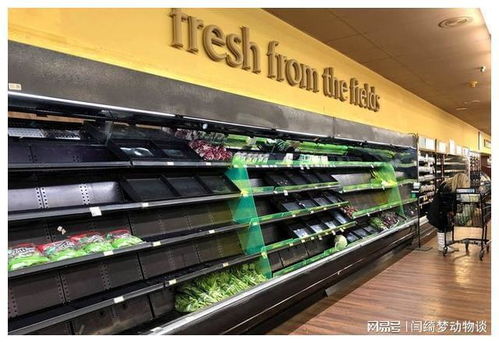 英倫抗疫奇觀 中國制造醫療物資“秒光”背后的供應鏈啟示